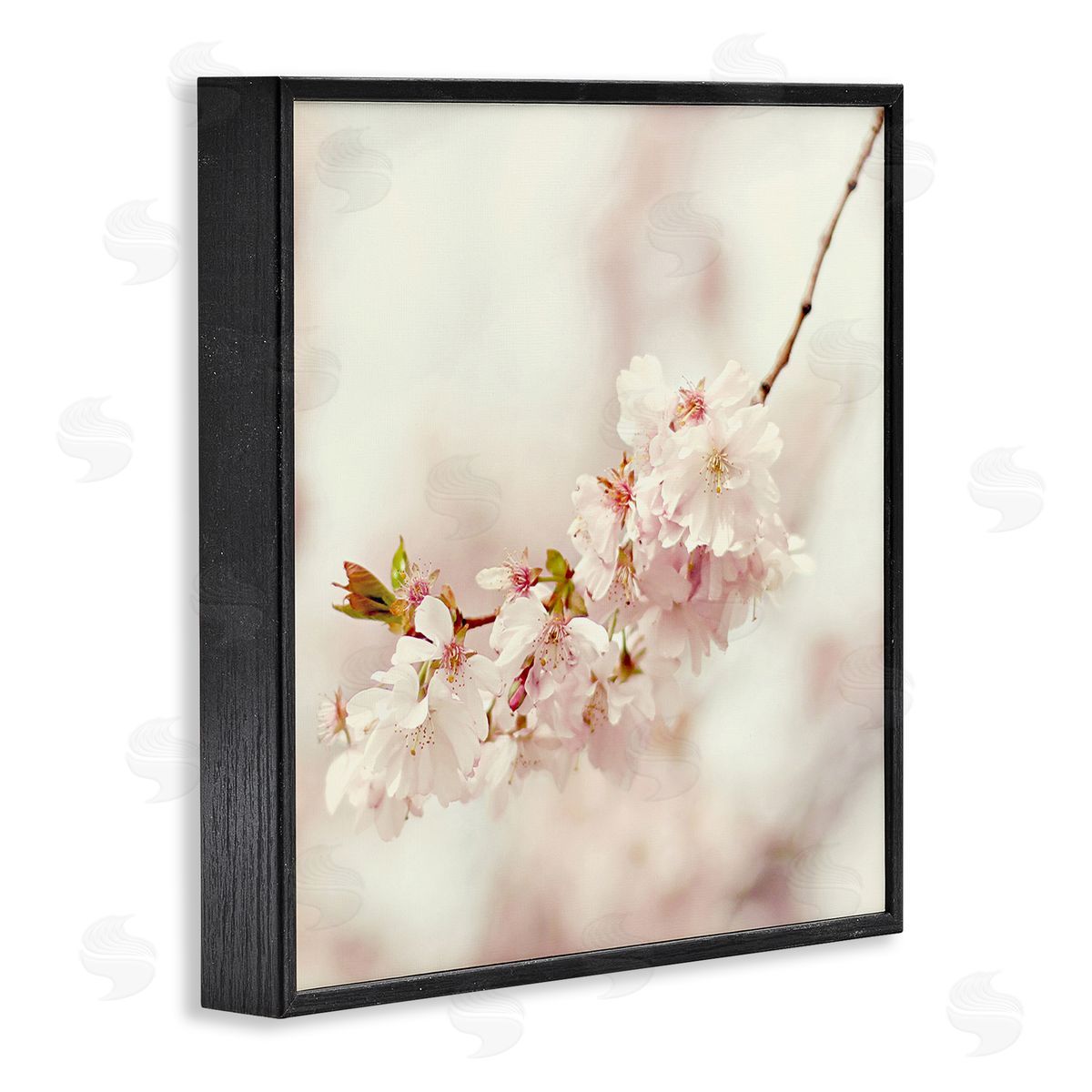 Sarah Gardner Delicate Cherry Blossom Black Framed Giclee Wall Art Print