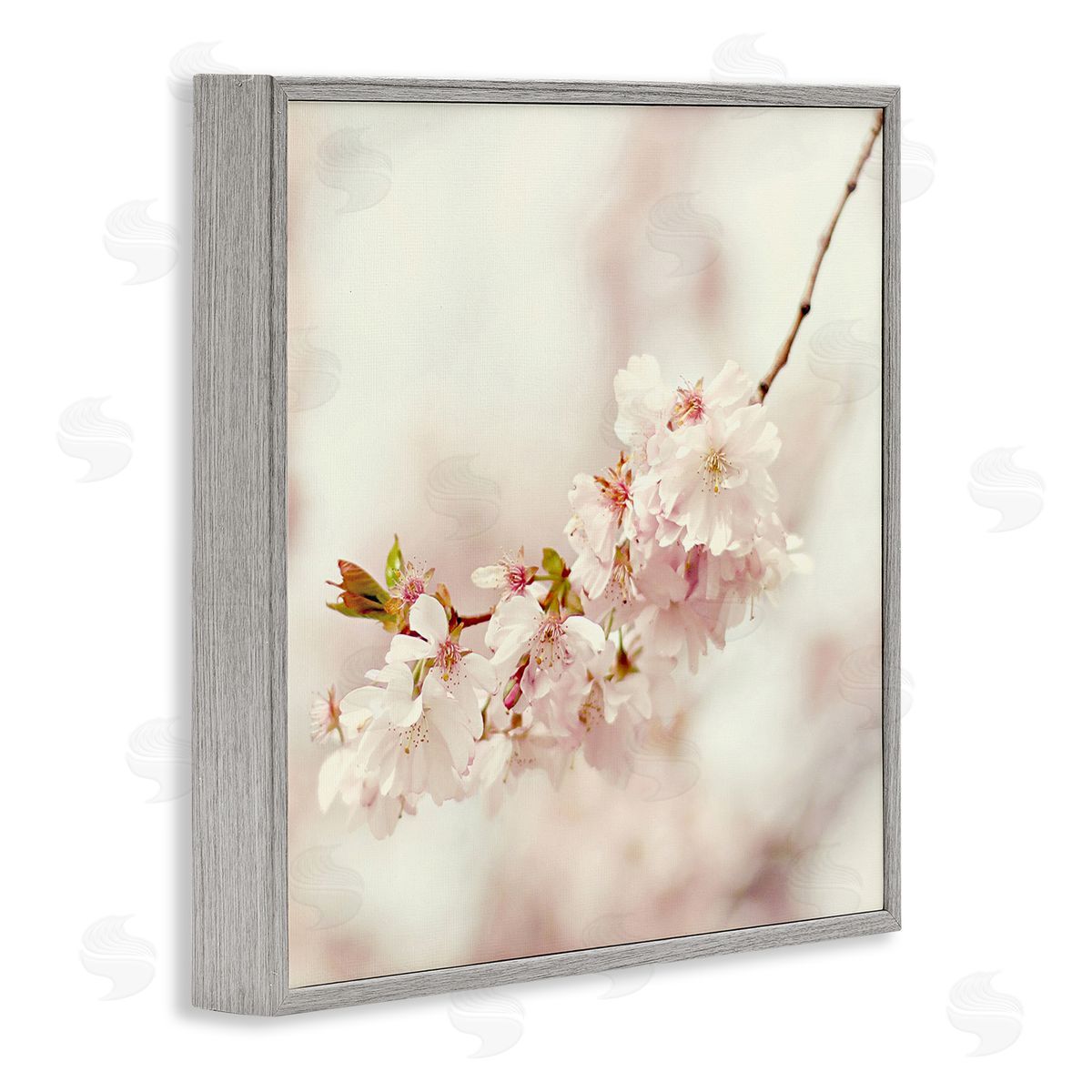 Sarah Gardner Delicate Cherry Blossom Gray Framed Giclee Wall Art Print