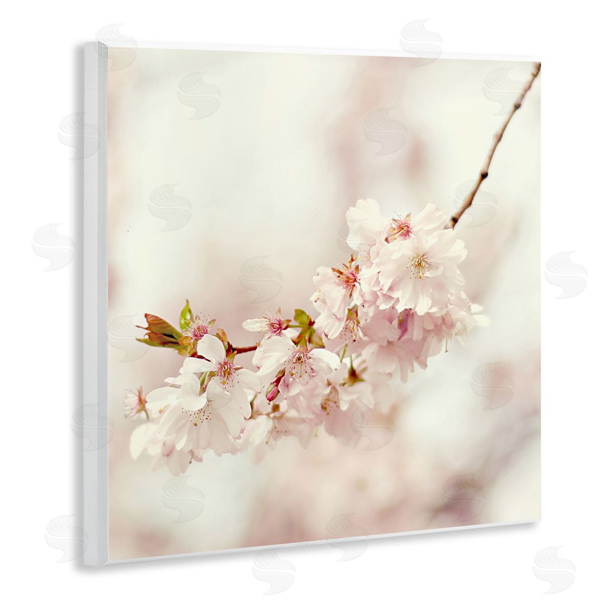 Sarah Gardner Delicate Cherry Blossom Wooden Wall Plaque Art Print