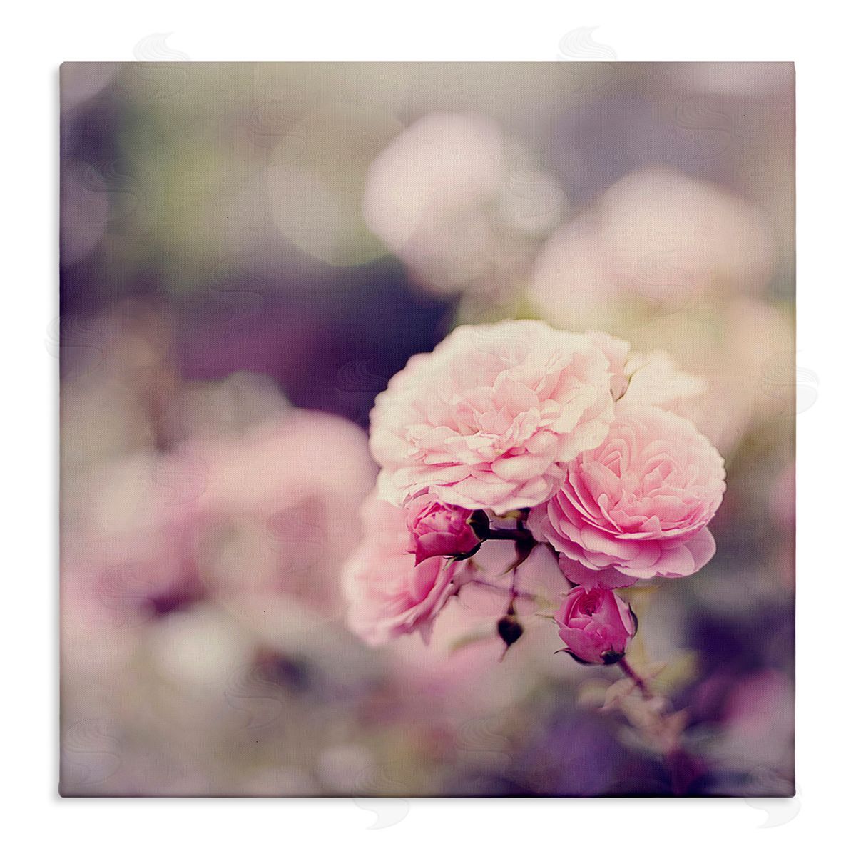 Sarah Gardner Pink Garden Ranunculus Canvas Wall Art Print