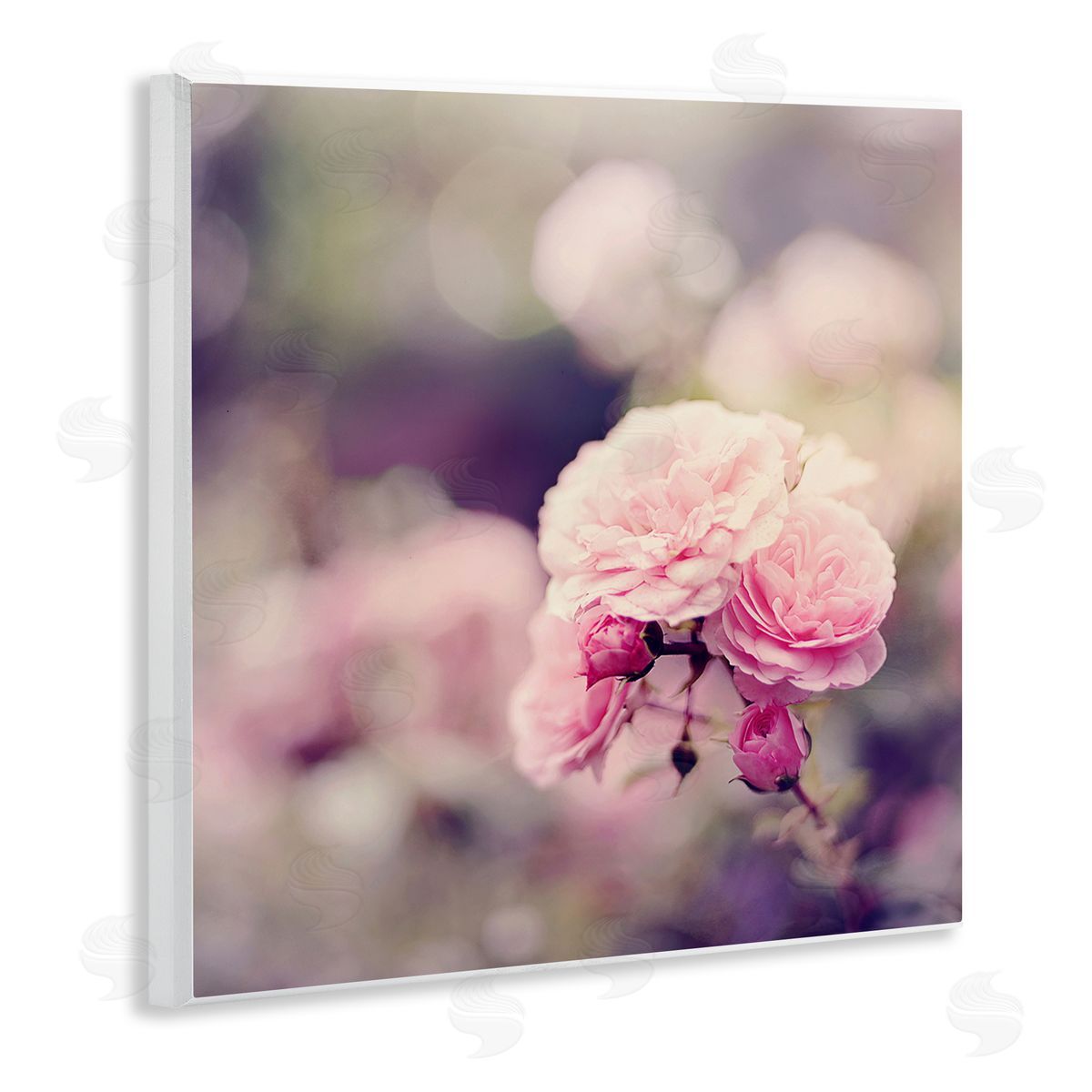 Sarah Gardner Pink Garden Ranunculus Wooden Wall Plaque Art Print