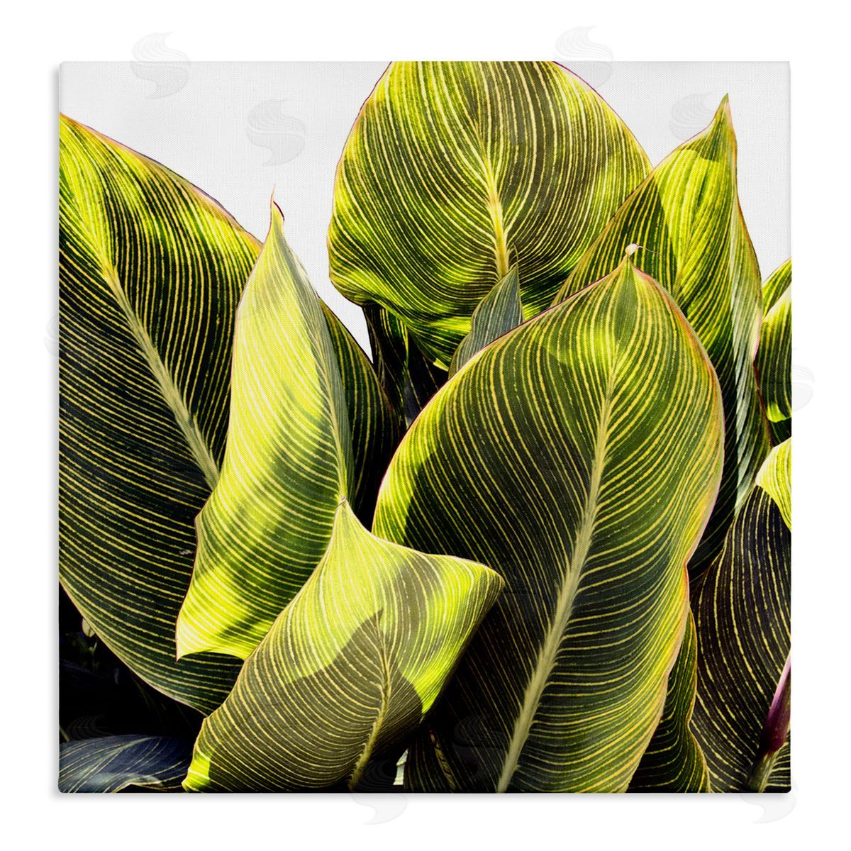 Bright Tropical Leaves Canvas Wall Art, Home Decor by Emily Navas