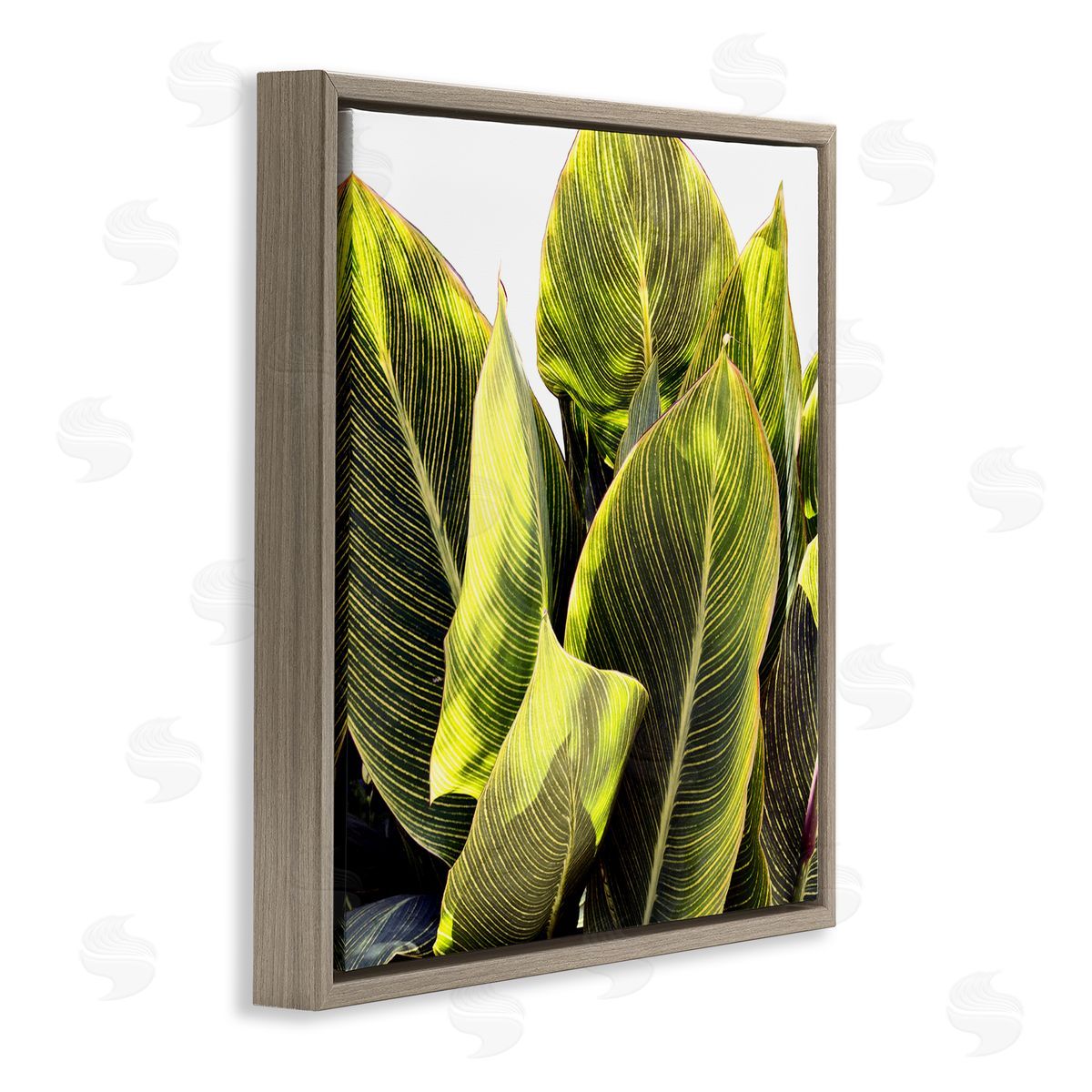 Bright Tropical Leaves Brown Floating Frame Canvas Wall Art, Home Decor by Emily Navas