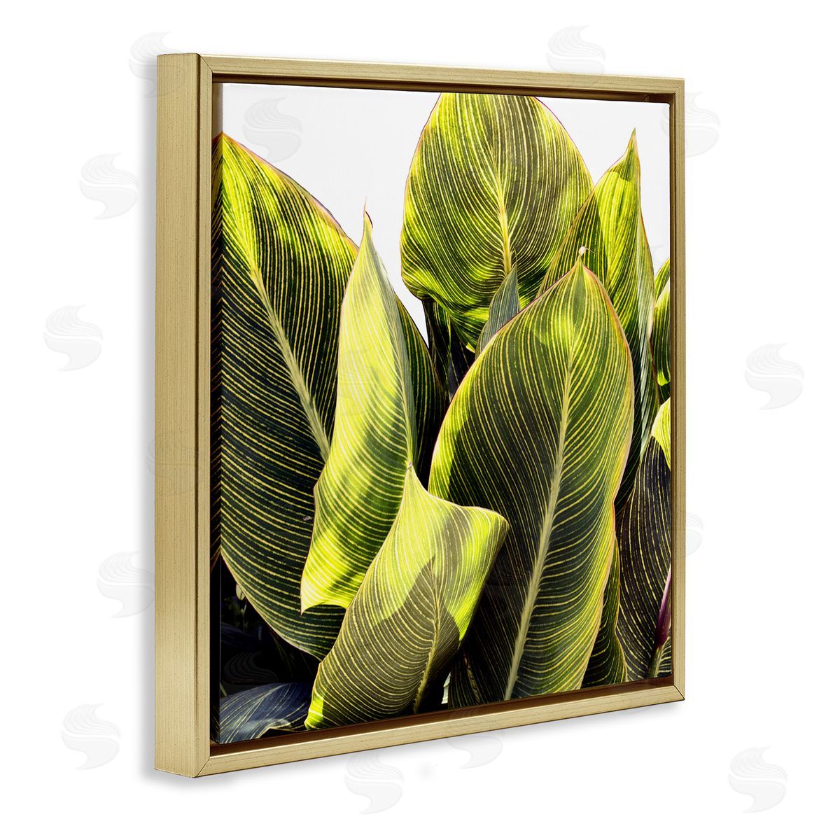 Bright Tropical Leaves Gold Floating Frame Canvas Wall Art, Home Decor by Emily Navas