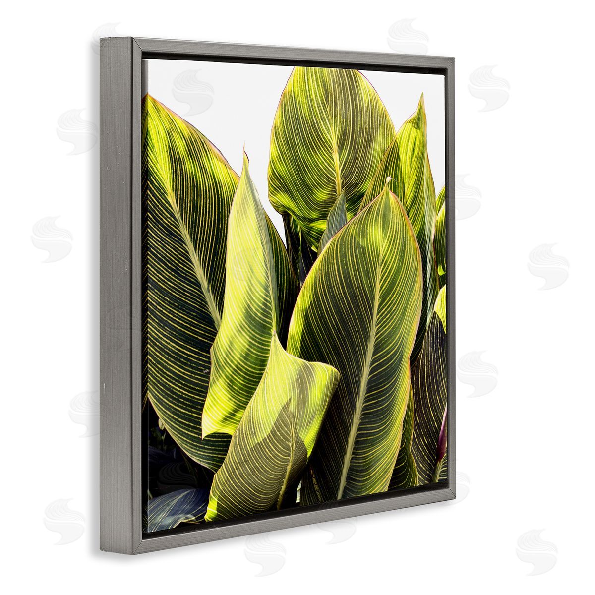 Bright Tropical Leaves Grey Floating Frame Canvas Wall Art, Home Decor by Emily Navas