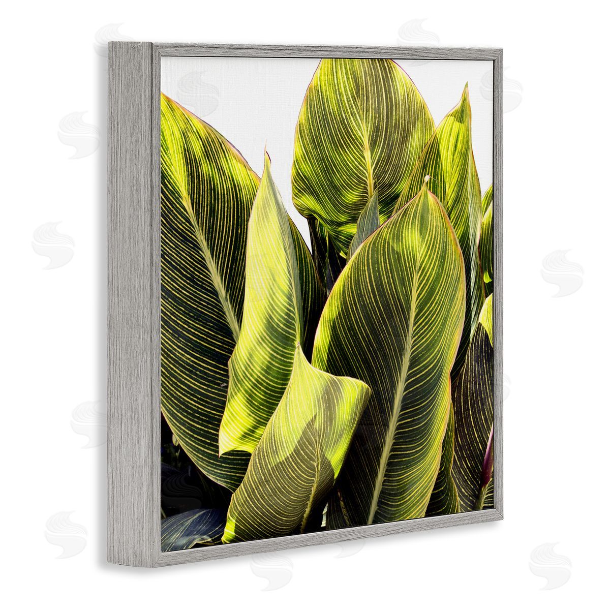 Bright Tropical Leaves Grey Frame Print Wall Art, Home Decor by Emily Navas