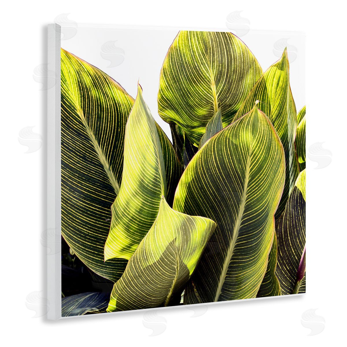 Bright Tropical Leaves Wood Plaque Wall Art, Home Decor by Emily Navas