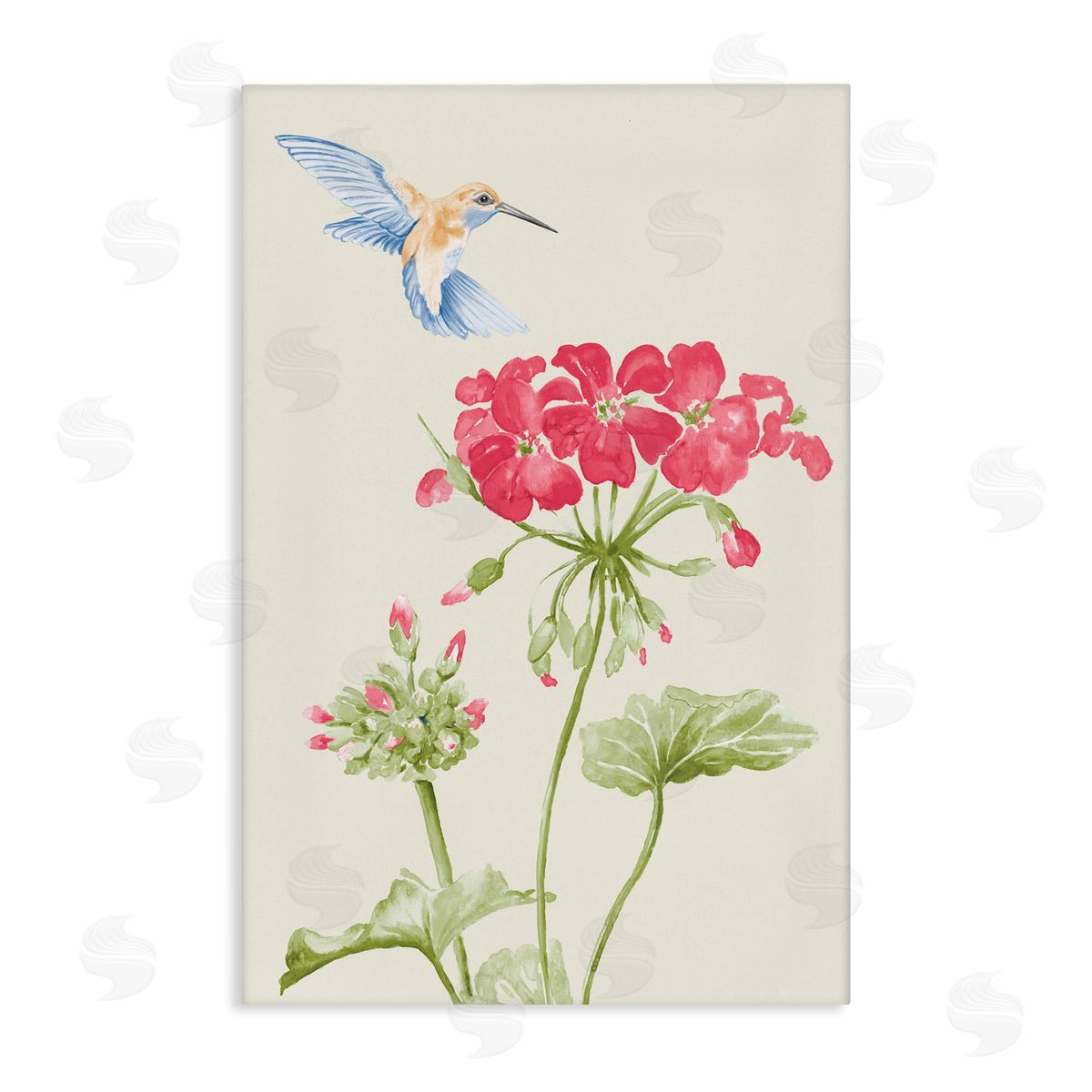 Geraniums and Hummingbird Canvas Wall Art, Home Decor by Patricia Pinto