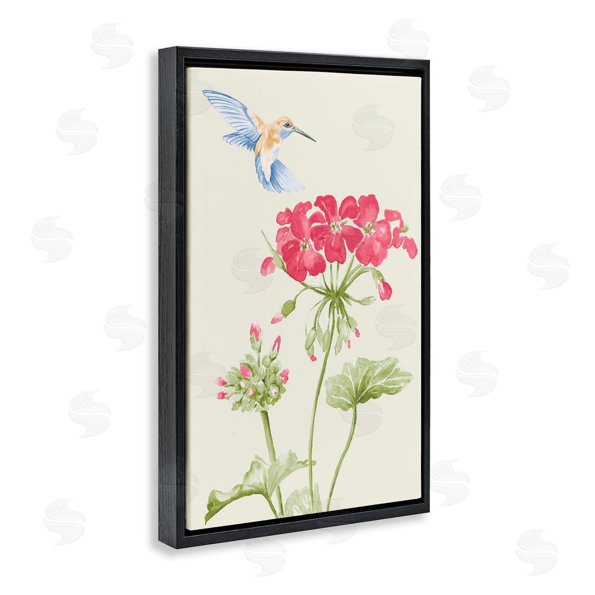 Geraniums and Hummingbird Black Floating Frame Canvas Wall Art, Home Decor by Patricia Pinto