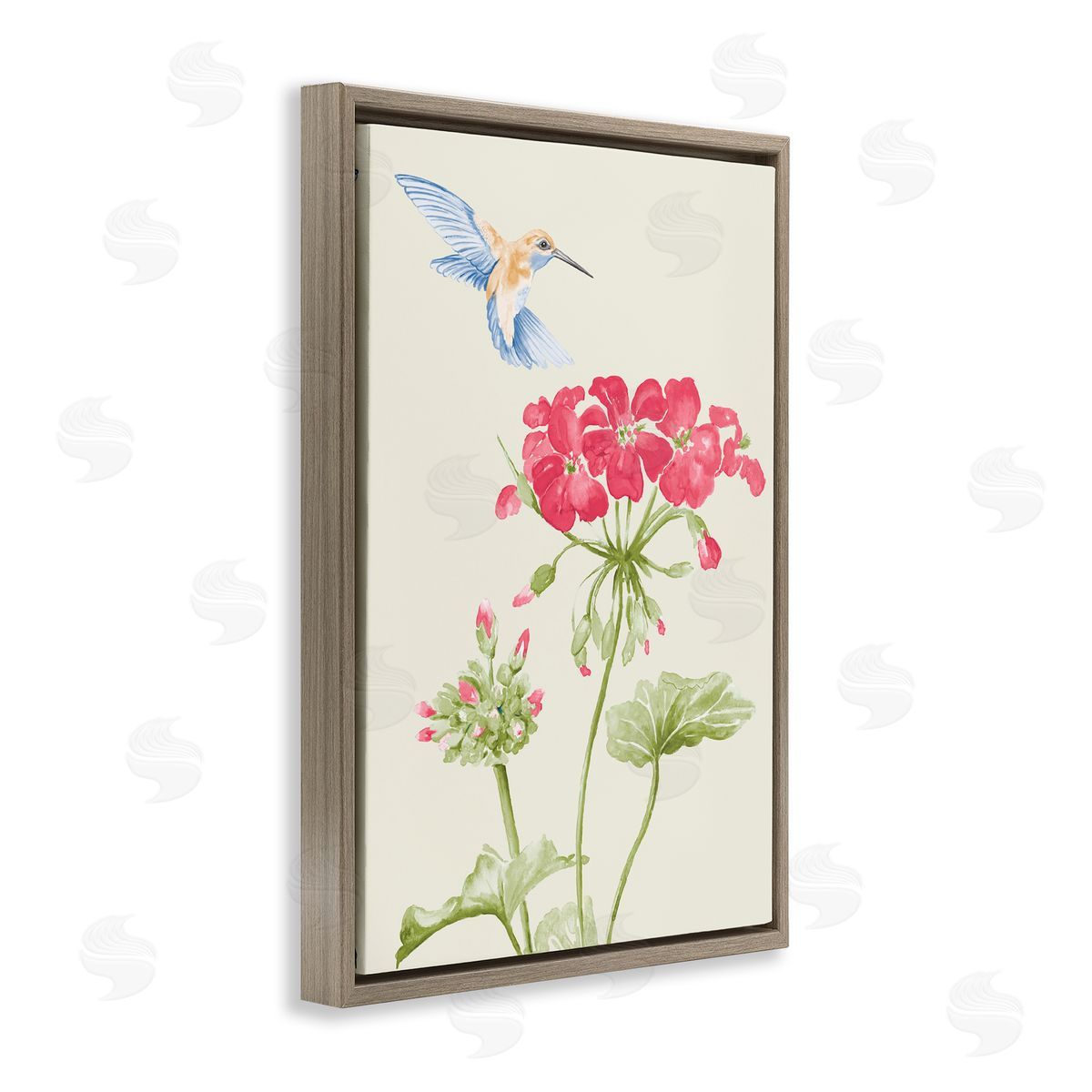 Geraniums and Hummingbird Brown Floating Frame Canvas Wall Art, Home Decor by Patricia Pinto