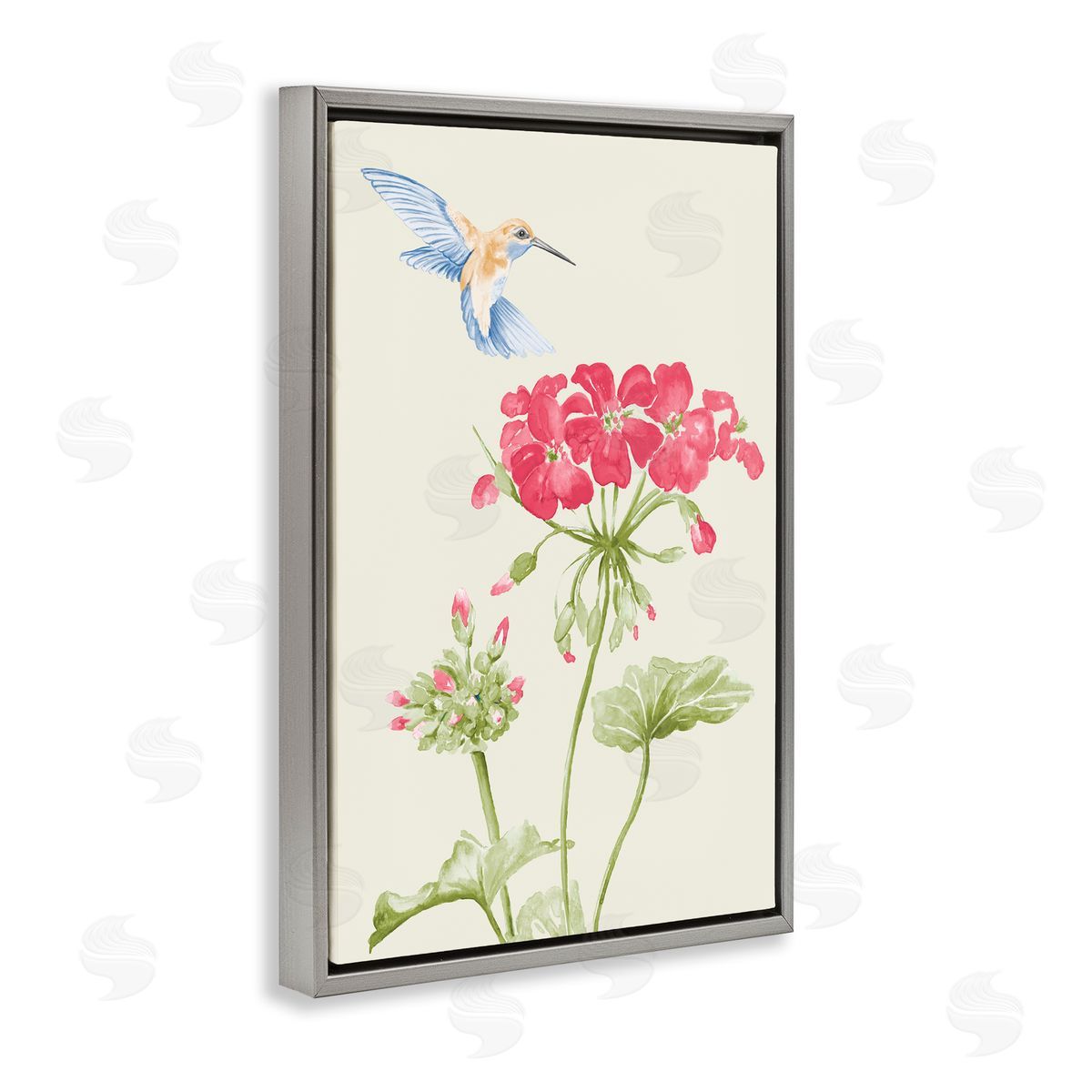 Geraniums and Hummingbird Grey Floating Frame Canvas Wall Art, Home Decor by Patricia Pinto
