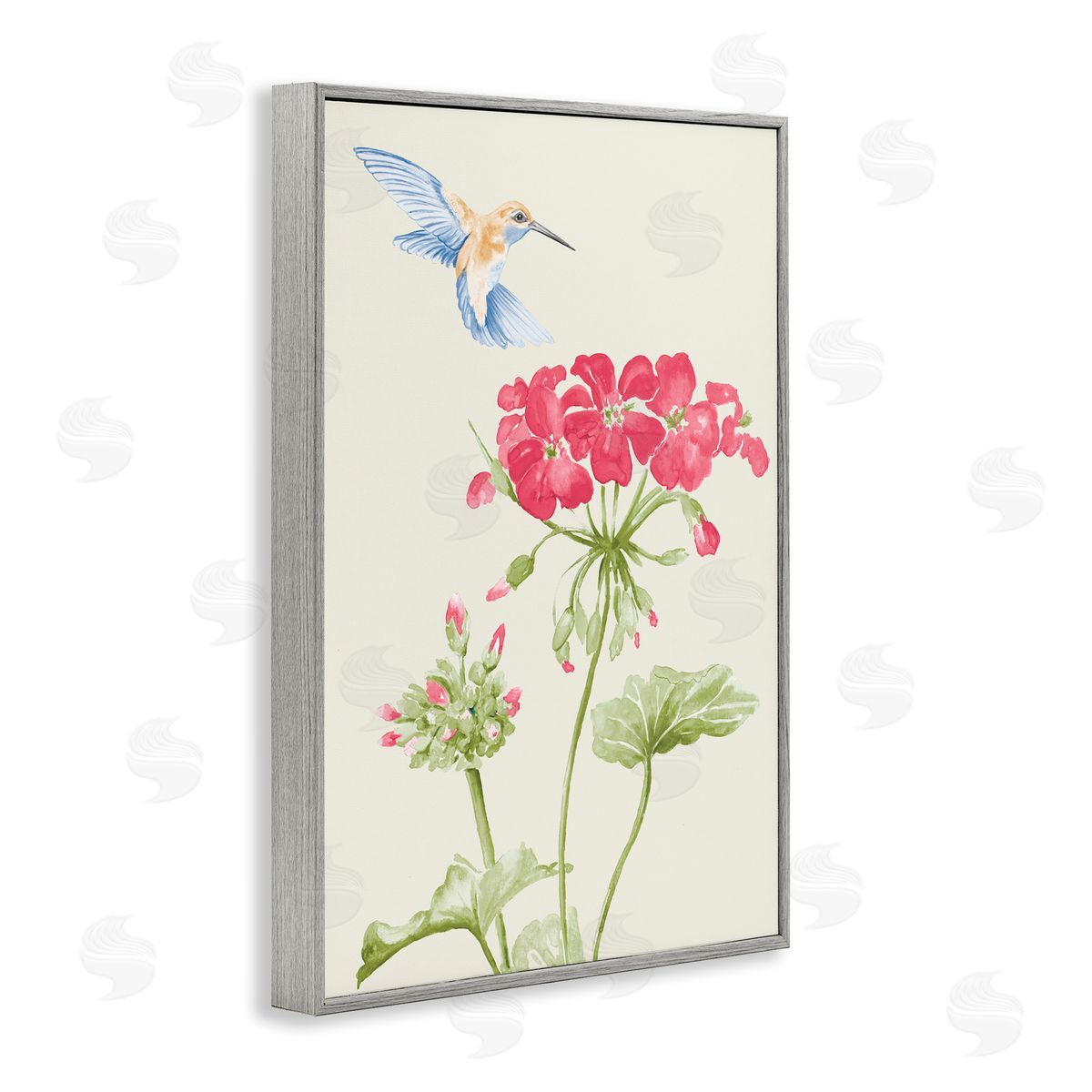 Geraniums and Hummingbird Grey Frame Print Wall Art, Home Decor by Patricia Pinto