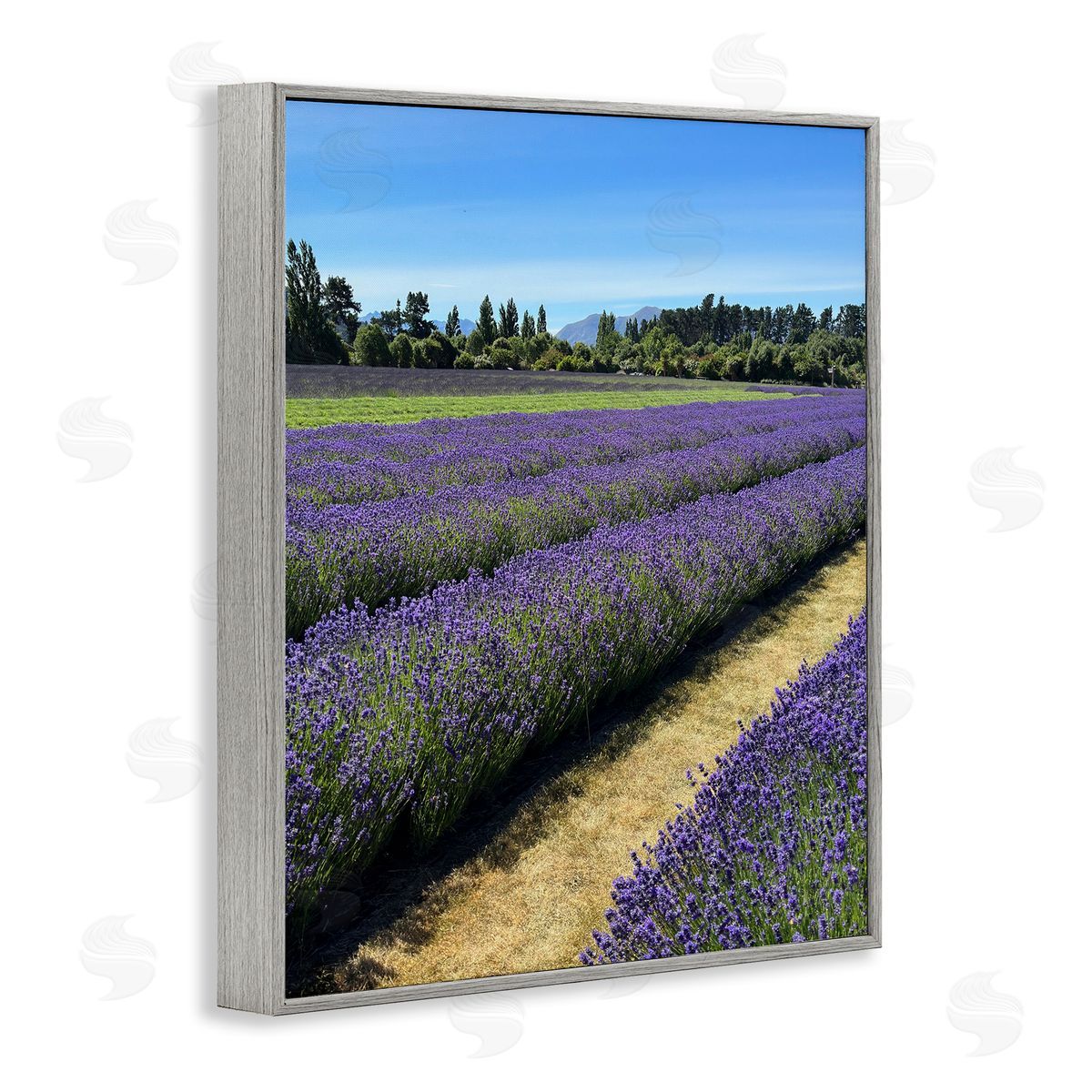 Lavender Path Landscape Grey Frame Print Wall Art, Home Decor by Kali Wilson