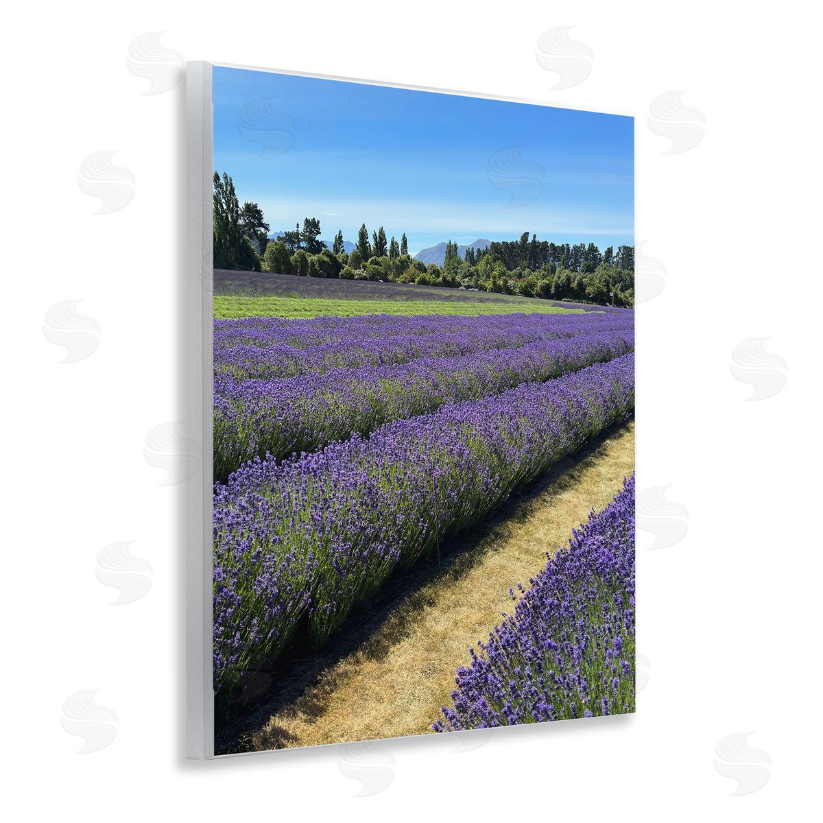 Lavender Path Landscape Wood Plaque Wall Art, Home Decor by Kali Wilson