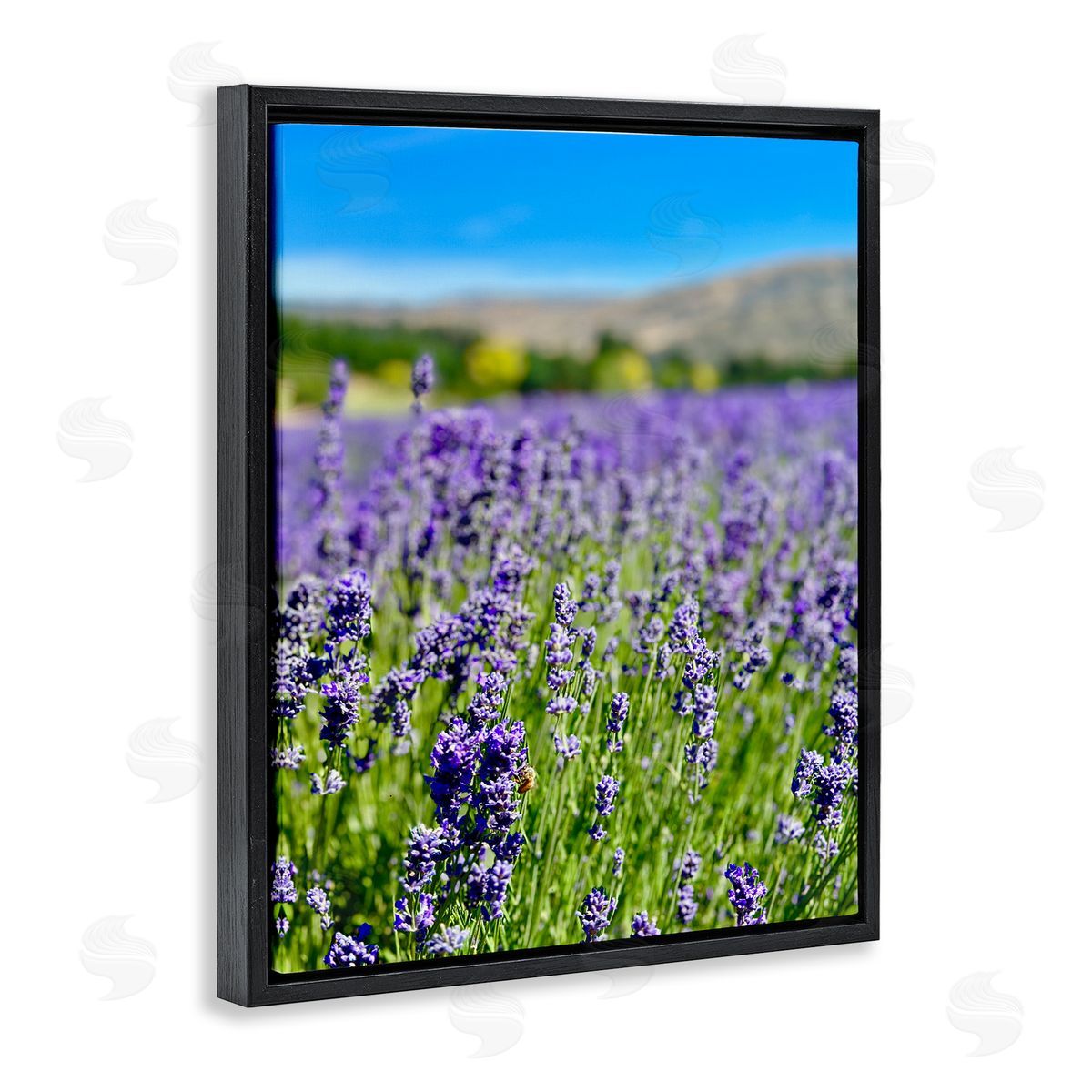 Lavender in the Wind Black Floating Frame Canvas Wall Art, Home Decor by Kali Wilson