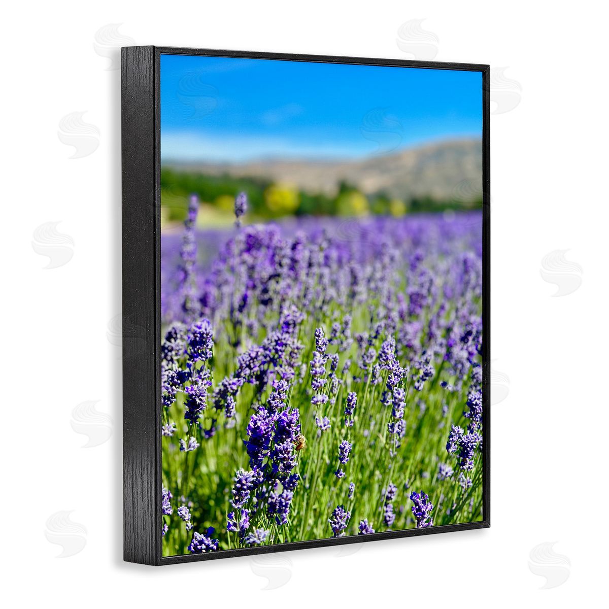 Lavender in the Wind Black Frame Print Wall Art, Home Decor by Kali Wilson
