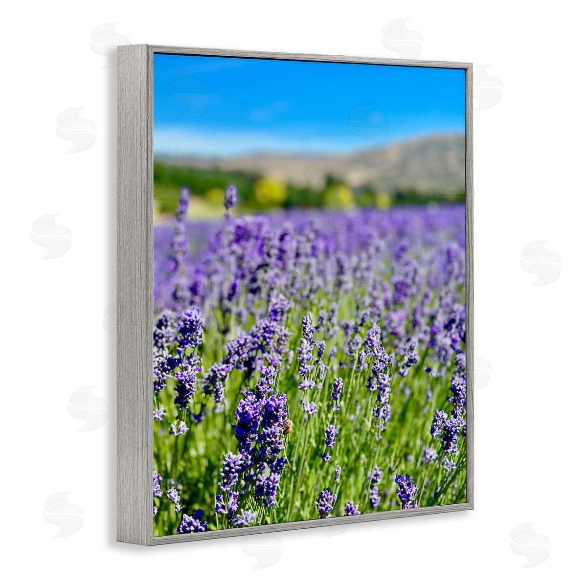 Lavender in the Wind Grey Frame Print Wall Art, Home Decor by Kali Wilson