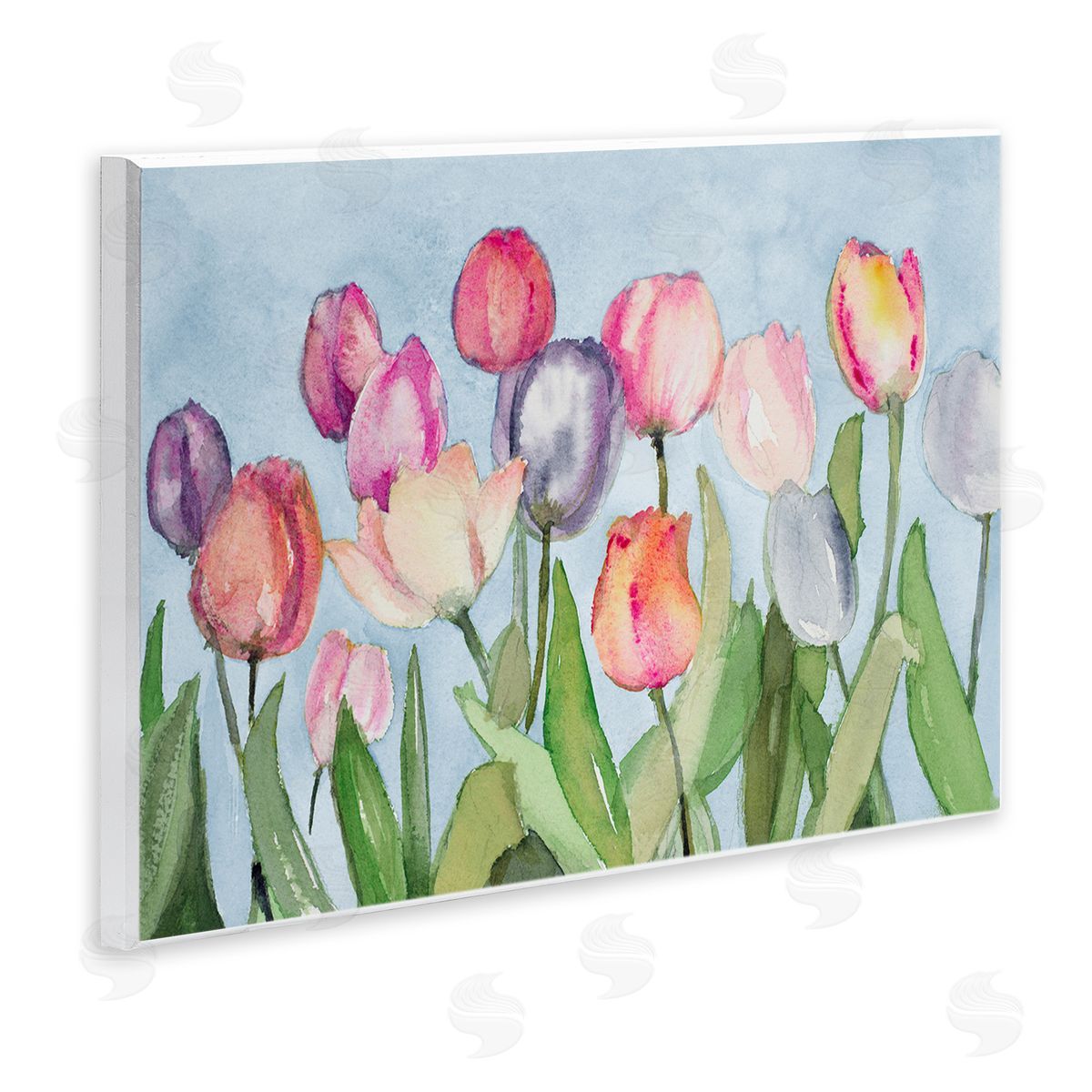 Lanie Loreth Soft Tulip Field Wooden Wall Plaque Art Print