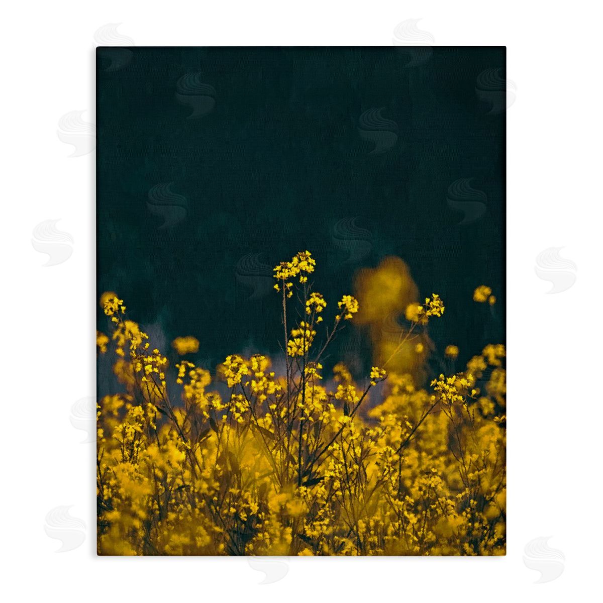 SunDance Group LLC Marigold Meadow Flowers Canvas Wall Art Print