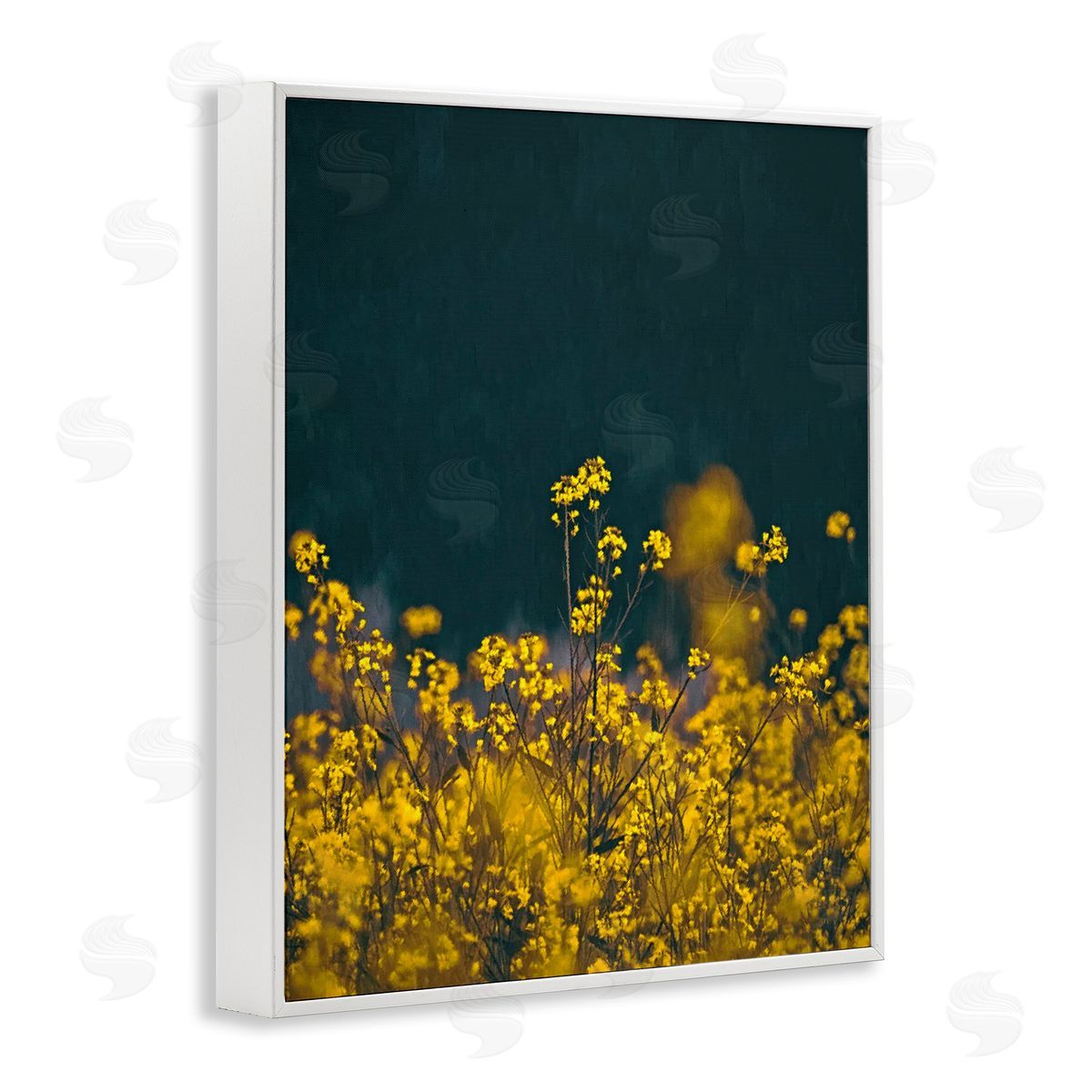 SunDance Group LLC Marigold Meadow Flowers White Framed Giclee Wall Art Print