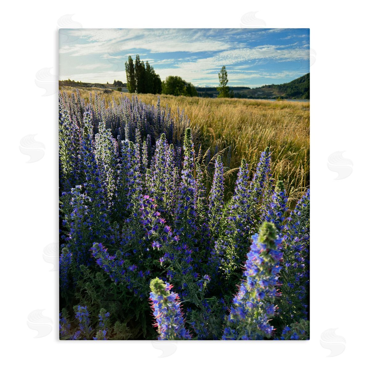 Lavender Fields Landscape Canvas Wall Art, Home Decor by Kali Wilson