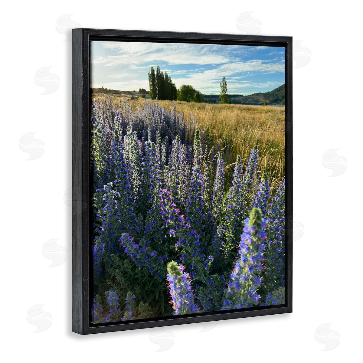 Lavender Fields Landscape Black Floating Frame Canvas Wall Art, Home Decor by Kali Wilson