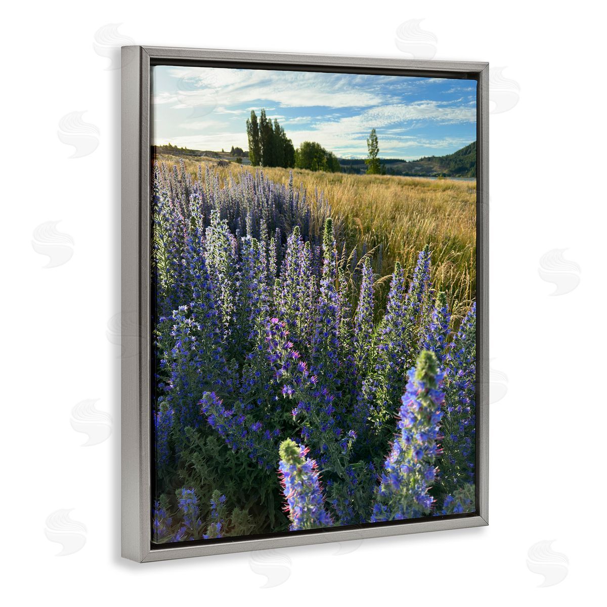 Lavender Fields Landscape Grey Floating Frame Canvas Wall Art, Home Decor by Kali Wilson