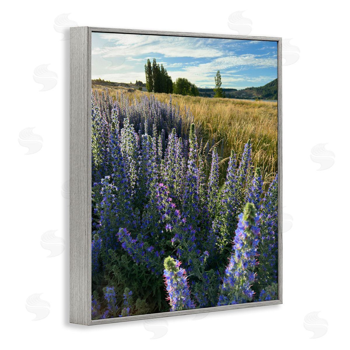Lavender Fields Landscape Grey Frame Print Wall Art, Home Decor by Kali Wilson