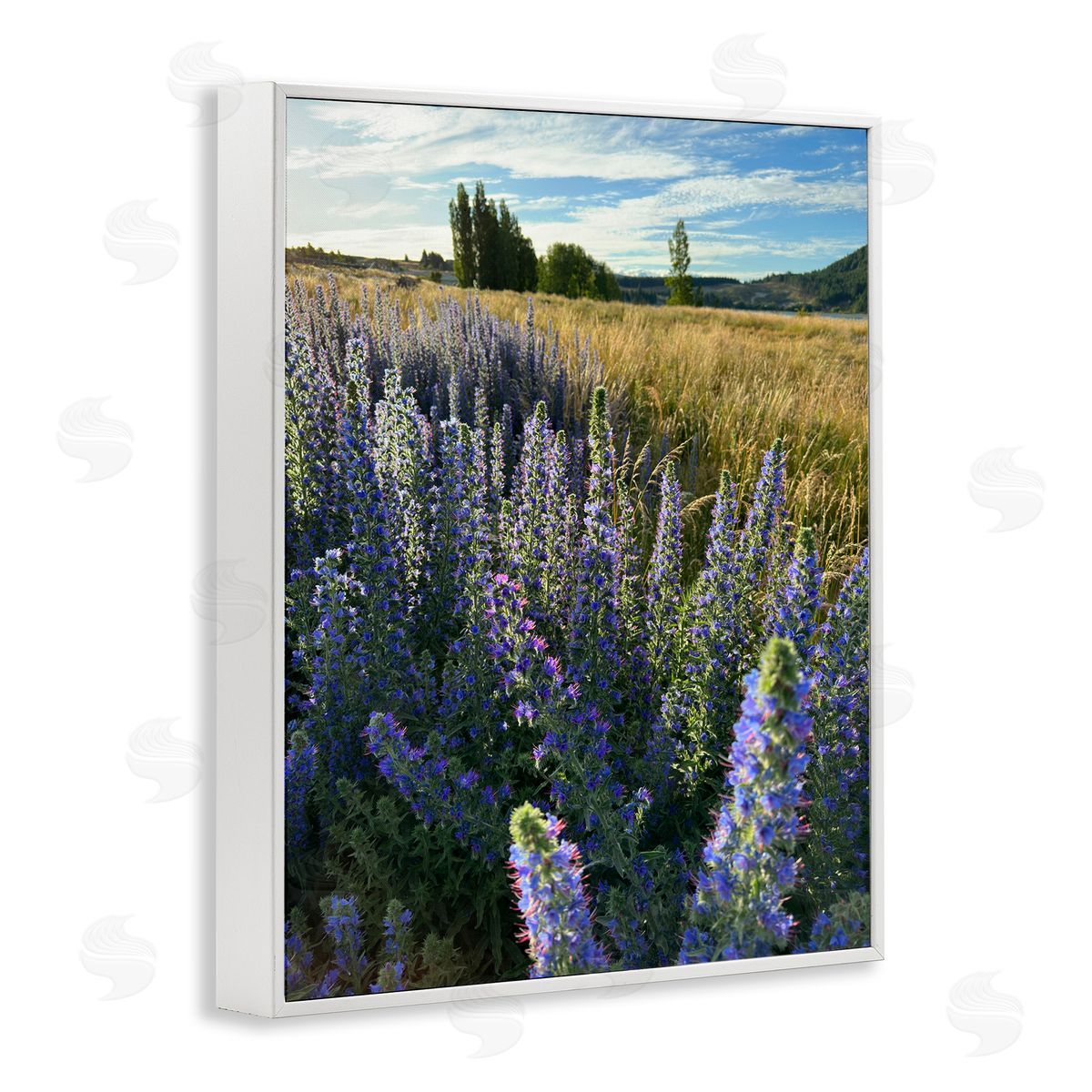 Lavender Fields Landscape White Frame Print Wall Art, Home Decor by Kali Wilson