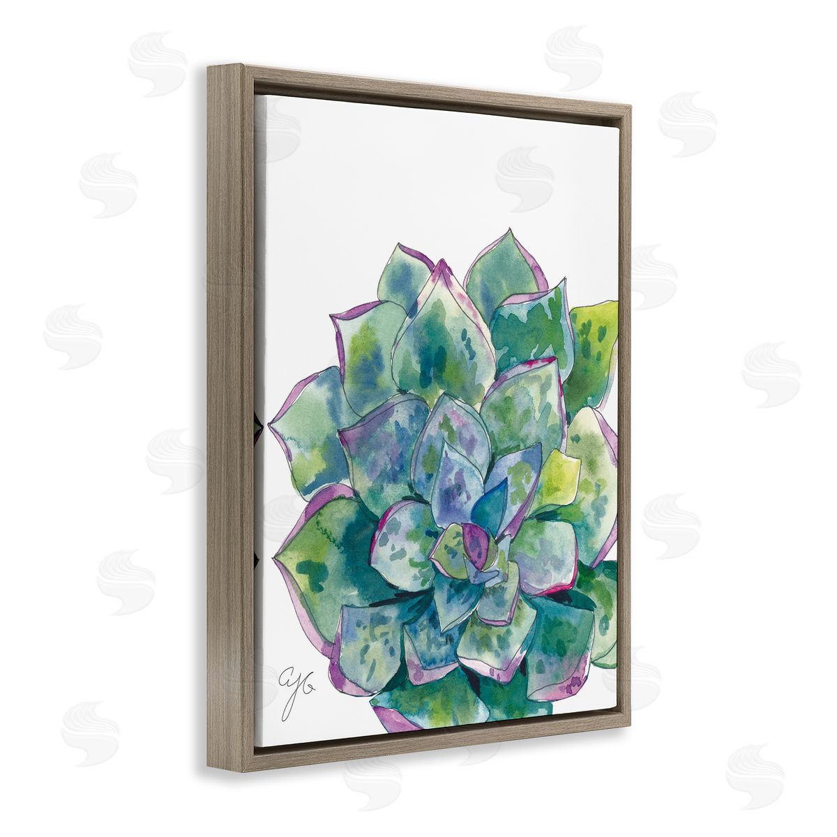 Abstract Succulent Watercolor Brown Floating Frame Canvas Wall Art, Home Decor by Alexandria Gilbert Kincaid