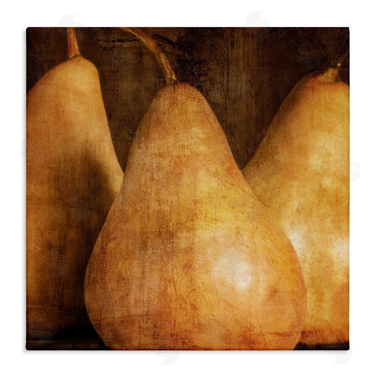 Caroline Kelly Rustic Vintage Pears Canvas Wall Art Print