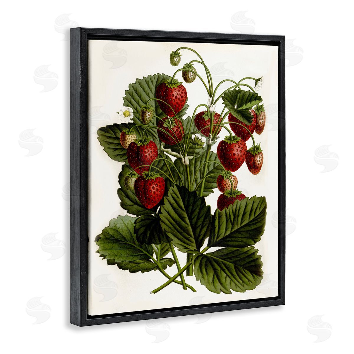 Strawberry Plant Study Black Floating Frame Canvas Wall Art, Home Decor by Lettered and Lined