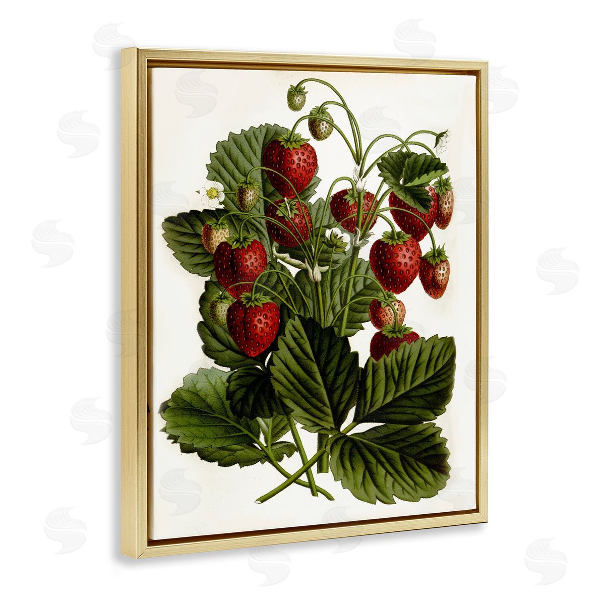 Strawberry Plant Study Gold Floating Frame Canvas Wall Art, Home Decor by Lettered and Lined