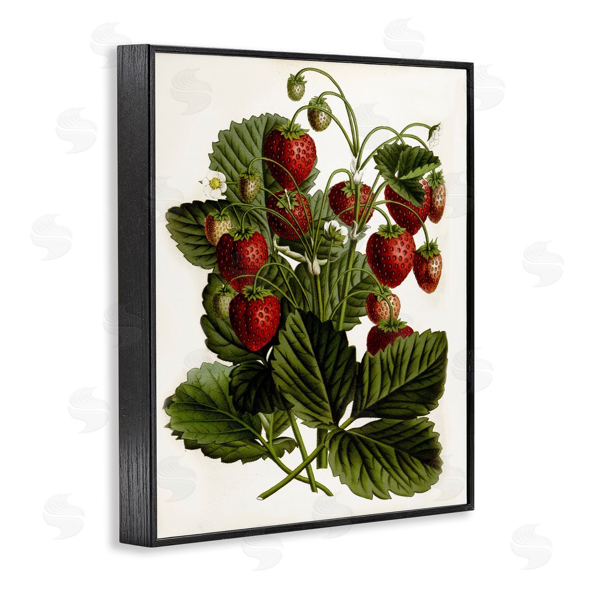 Strawberry Plant Study Black Frame Print Wall Art, Home Decor by Lettered and Lined
