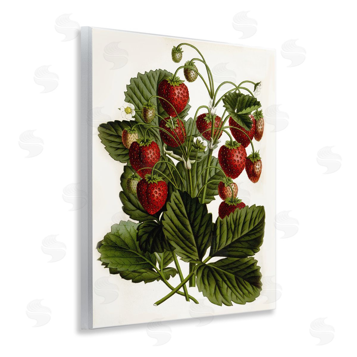 Strawberry Plant Study Wood Plaque Wall Art, Home Decor by Lettered and Lined