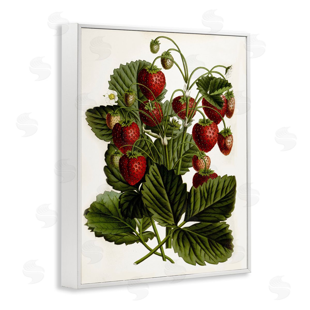 Strawberry Plant Study White Frame Print Wall Art, Home Decor by Lettered and Lined