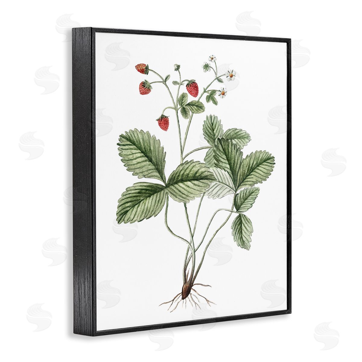 Budding Strawberries Study Black Frame Print Wall Art, Home Decor by Lettered and Lined
