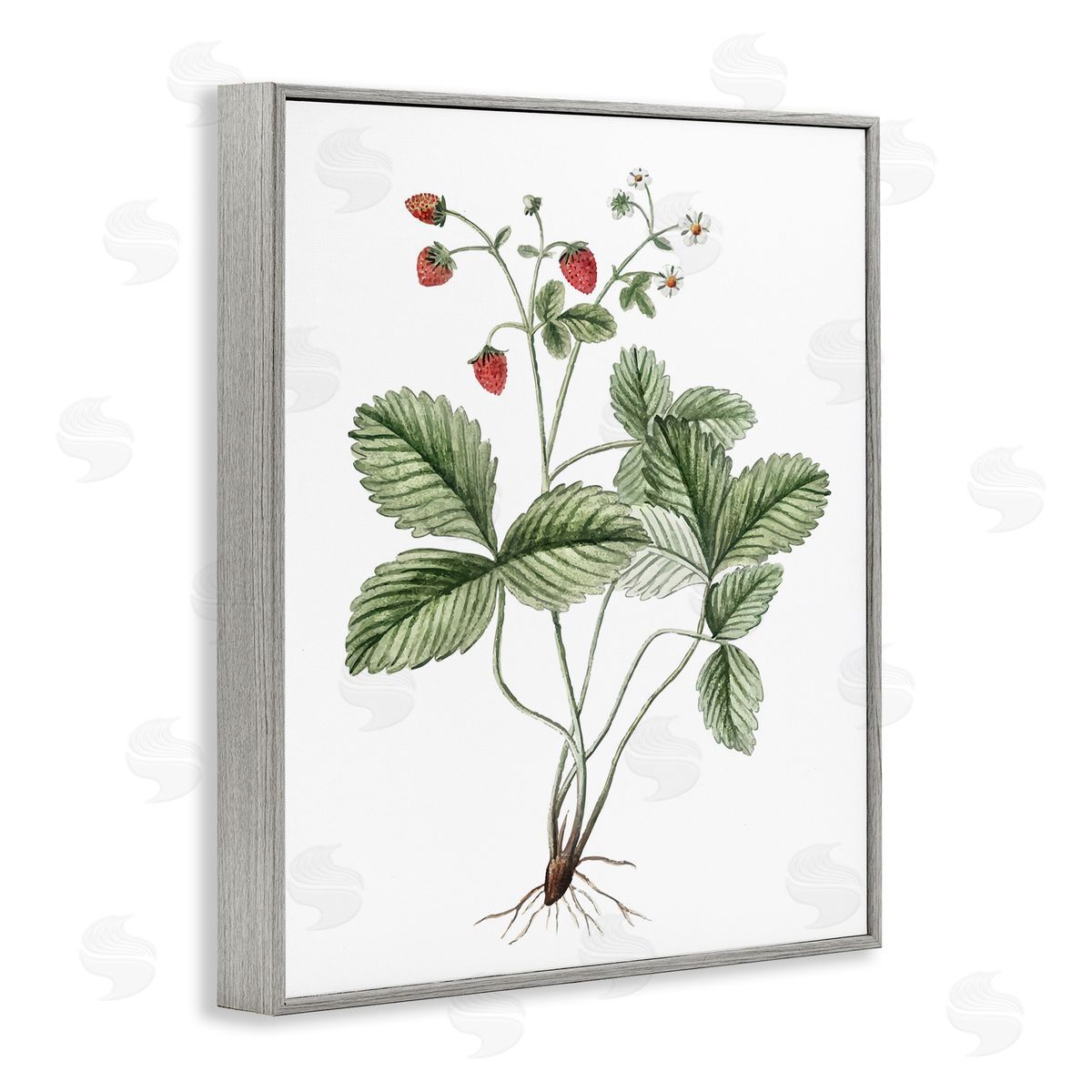 Budding Strawberries Study Grey Frame Print Wall Art, Home Decor by Lettered and Lined