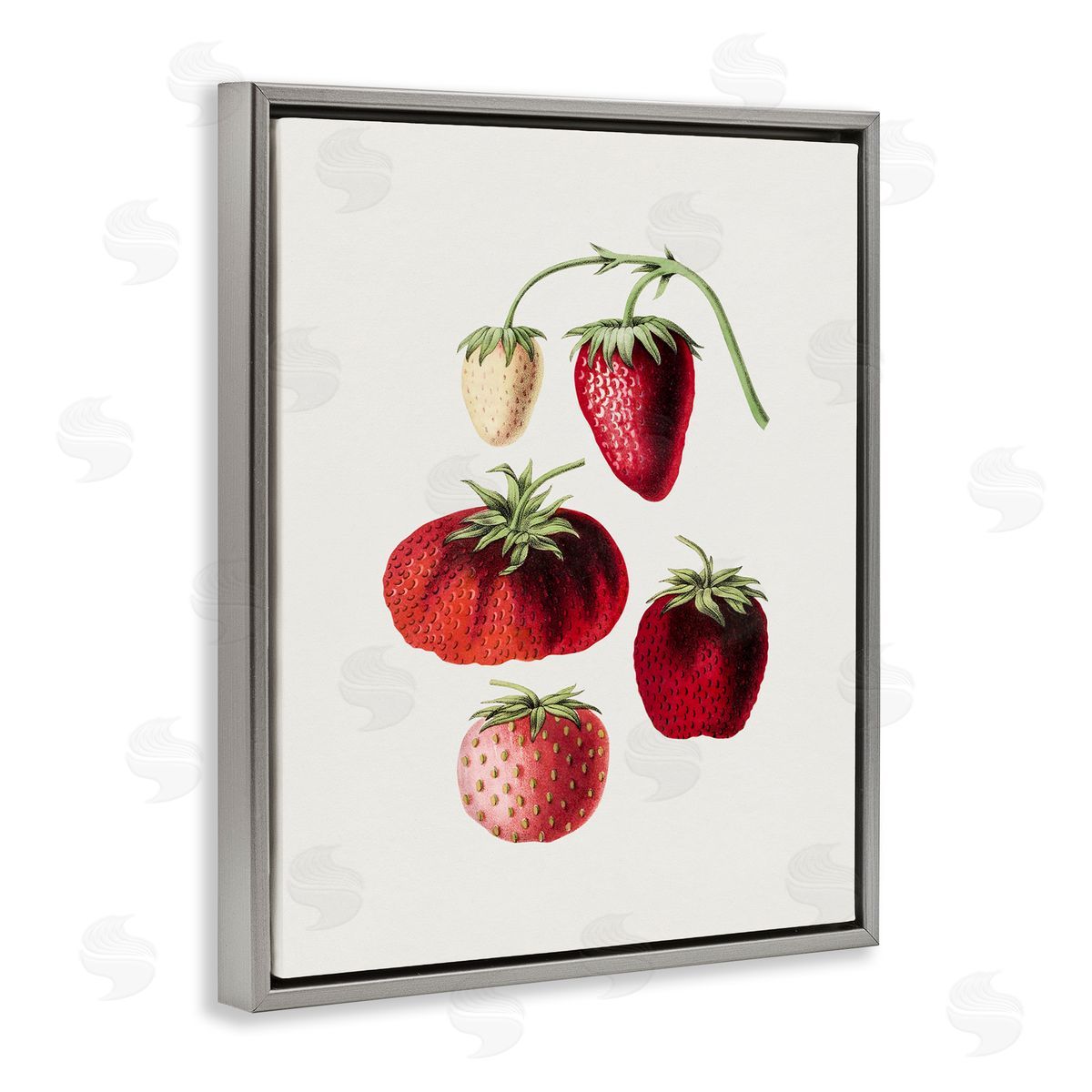Natural Berries Study Grey Floating Frame Canvas Wall Art, Home Decor by Lettered and Lined
