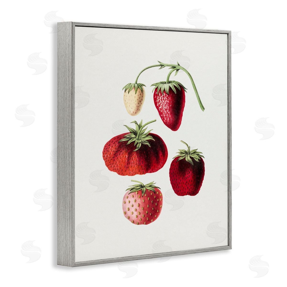 Natural Berries Study Grey Frame Print Wall Art, Home Decor by Lettered and Lined