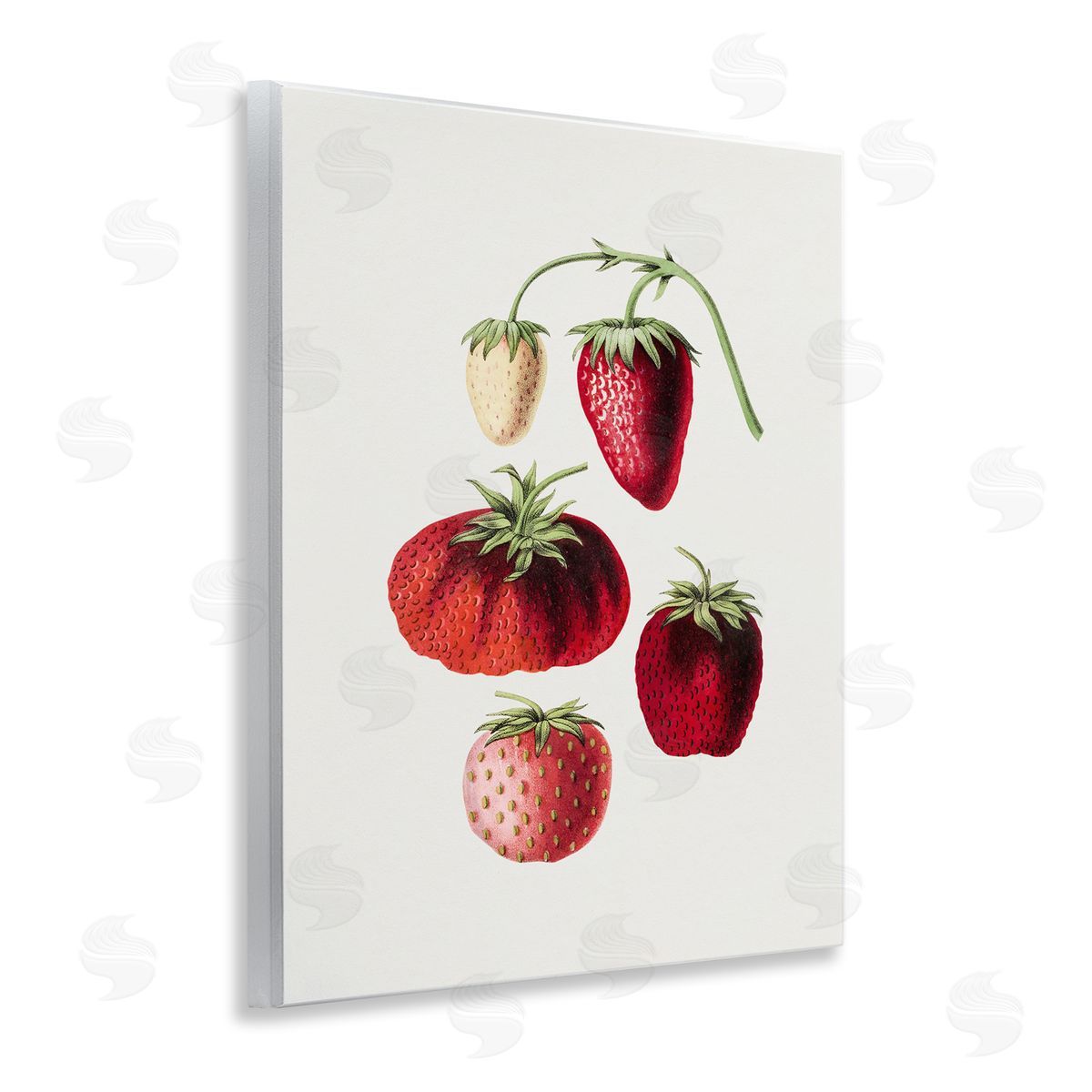 Natural Berries Study Wood Plaque Wall Art, Home Decor by Lettered and Lined