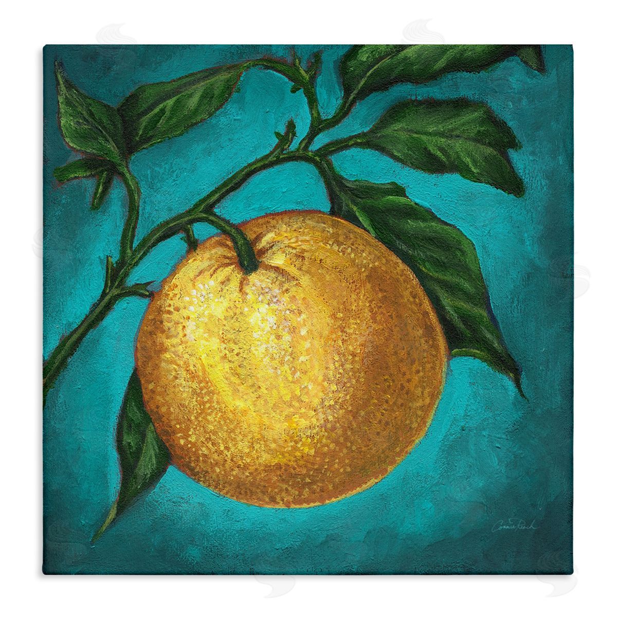 Connie Resch Citrus Fruit on Branch Canvas Wall Art Print