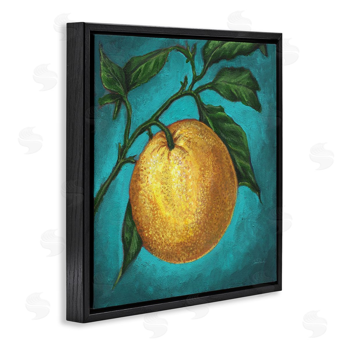 Connie Resch Citrus Fruit on Branch Black Floating Frame Canvas Wall Art Print