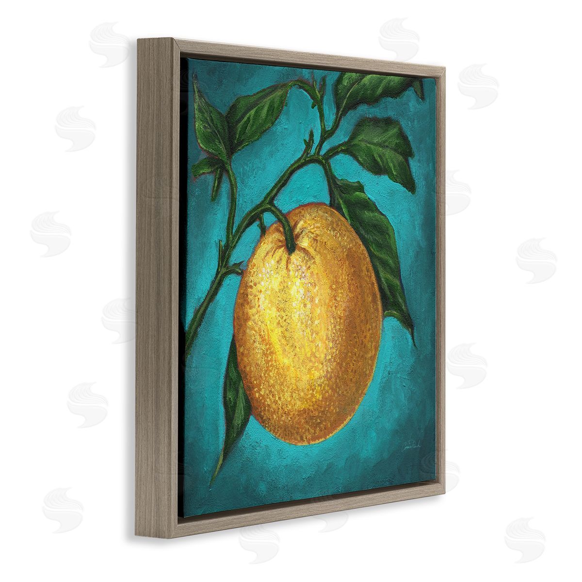 Connie Resch Citrus Fruit on Branch Brown Floating Frame Canvas Wall Art Print