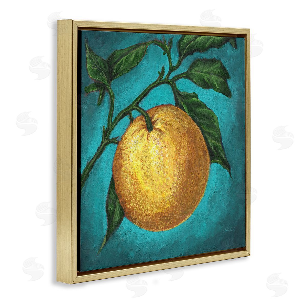 Connie Resch Citrus Fruit on Branch Gold Floating Frame Canvas Wall Art Print