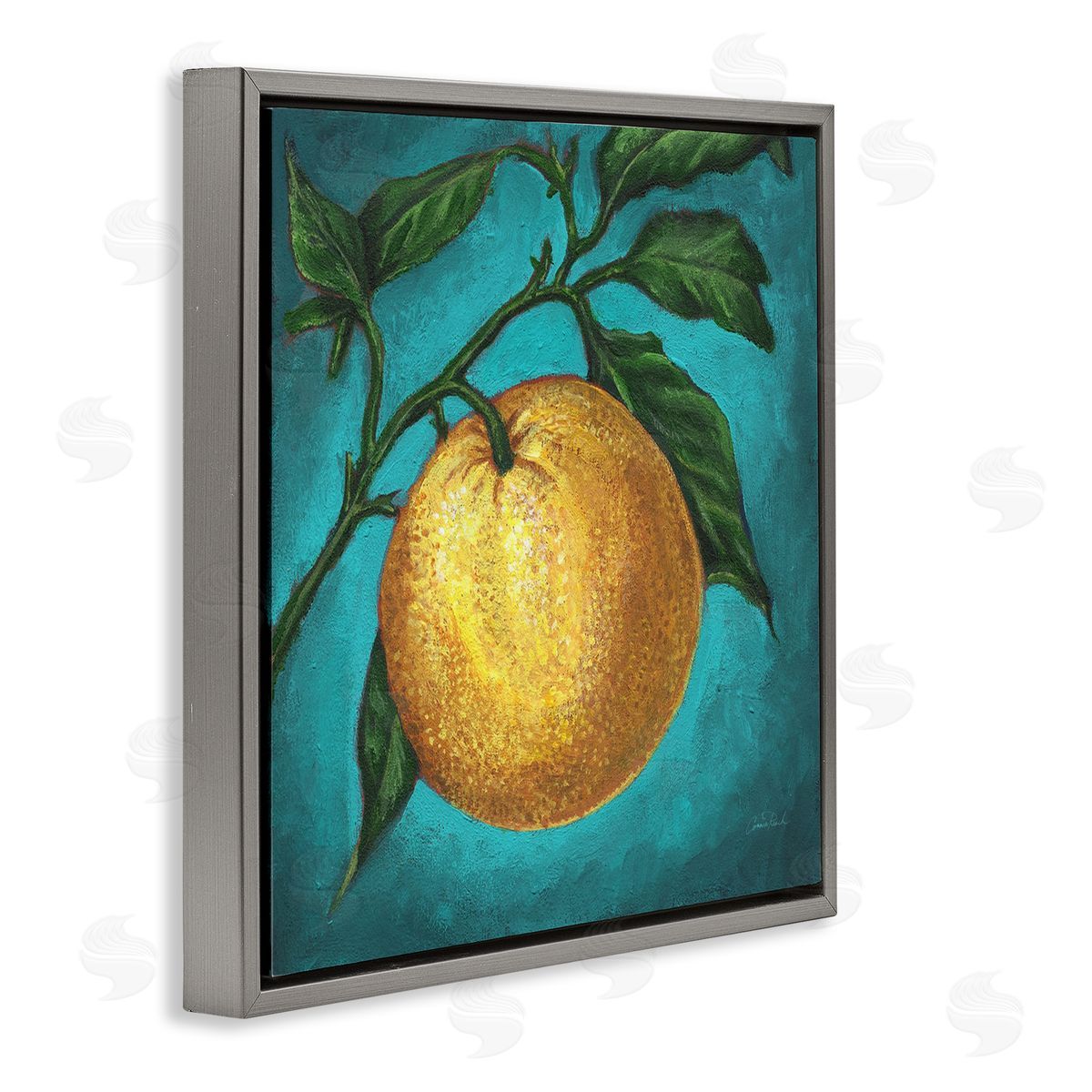Connie Resch Citrus Fruit on Branch Gray Floating Frame Canvas Wall Art Print