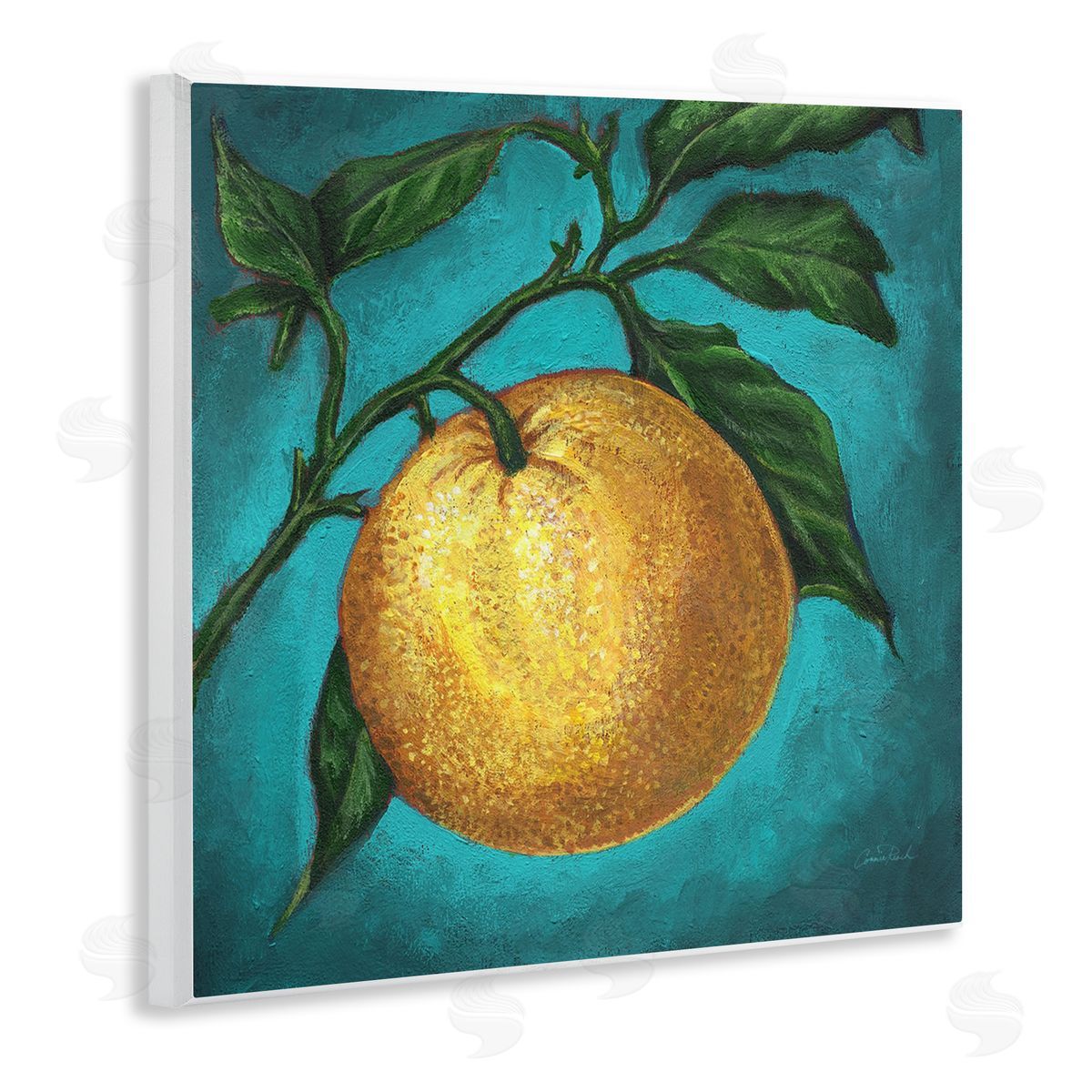Connie Resch Citrus Fruit on Branch Wooden Wall Plaque Art Print
