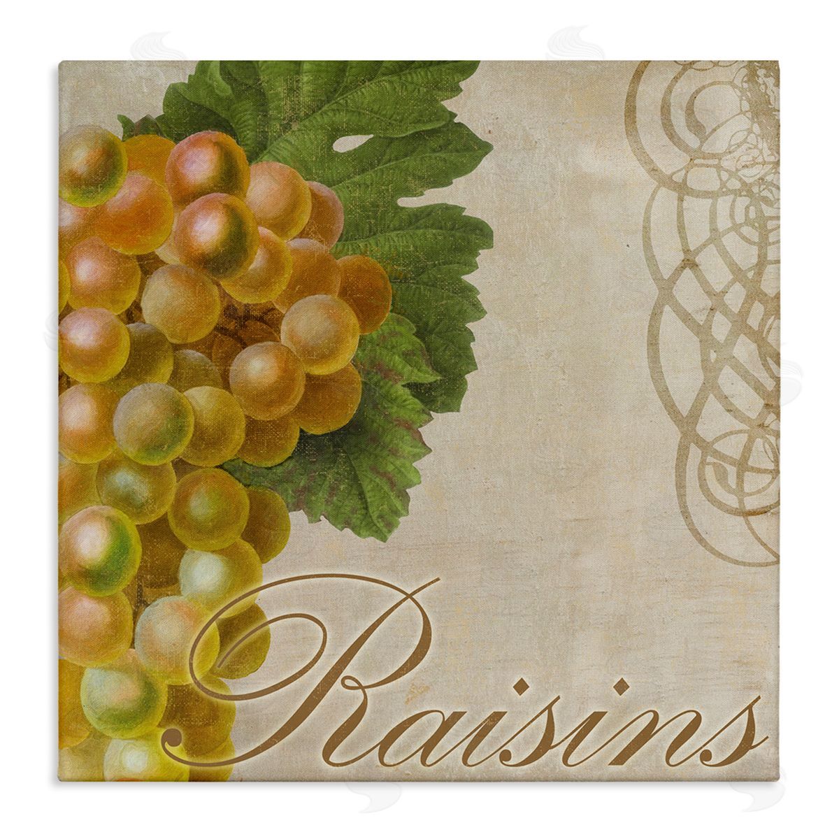 Sasha Vintage French Grapes Canvas Wall Art Print