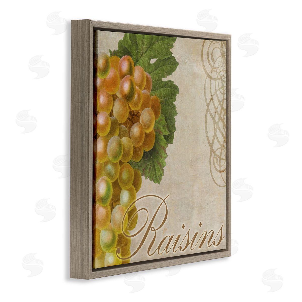 Sasha Vintage French Grapes Brown Floating Frame Canvas Wall Art Print