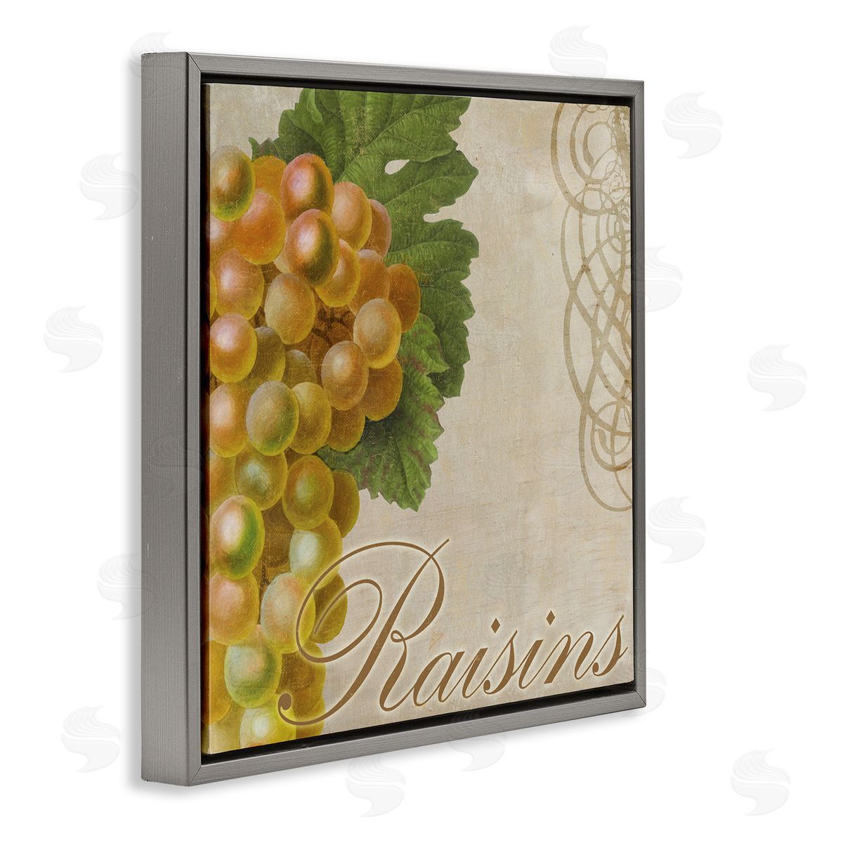 Sasha Vintage French Grapes Gray Floating Frame Canvas Wall Art Print